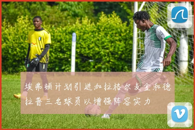 埃弗顿计划引进加拉格尔麦金和德拉普三名球员以增强阵容实力